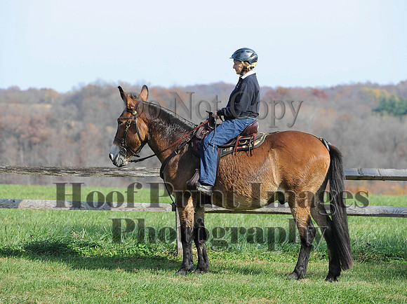 AndrewsBr(11-9-14)0319