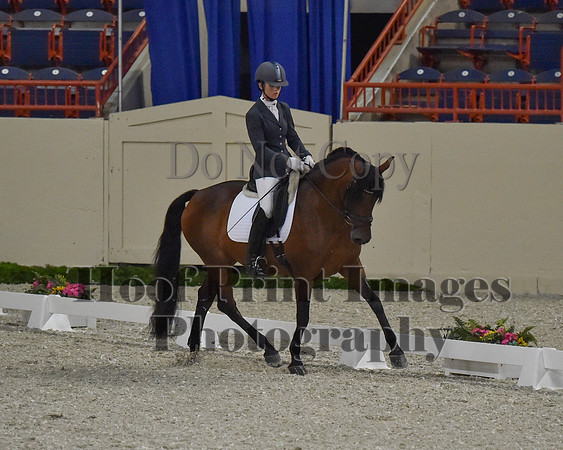 CWdressageII(8-21-16)1126
