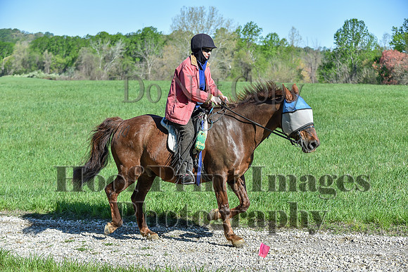 ChesapeakeSpring(4-27-25)0467