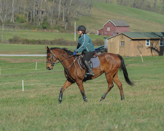 BHPC(11-15-15)0382