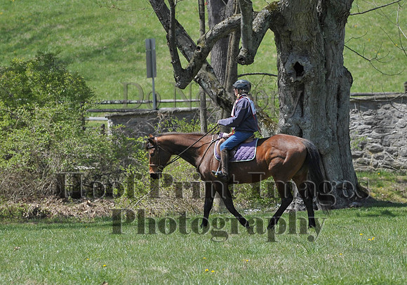 CheshirePC(4-16-16)0293