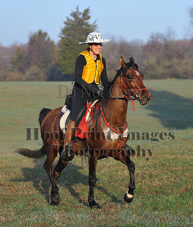 Foxcatcher(4-12-14)0492