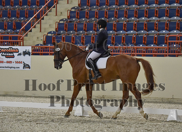 CWdressageI(8-20-16)1254