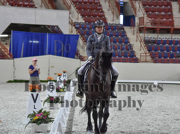 CWdressageI(8-20-16)1230