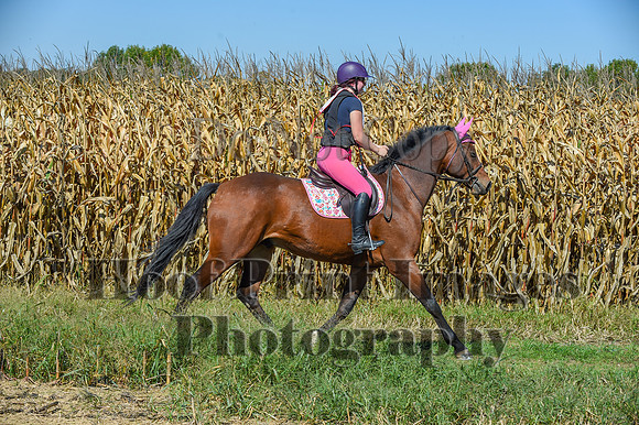 CheshirePonyClubPC(10-6-24)0488