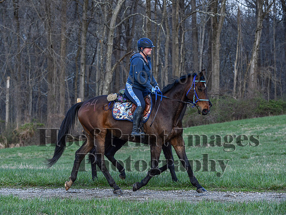 ChesapeakeSpring(4-10-22)0382