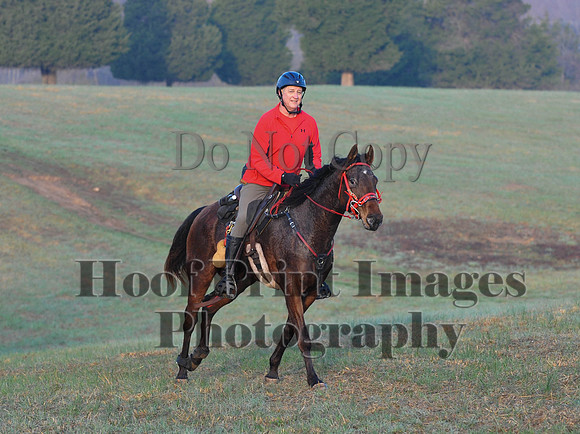 Foxcatcher(4-12-14)0362