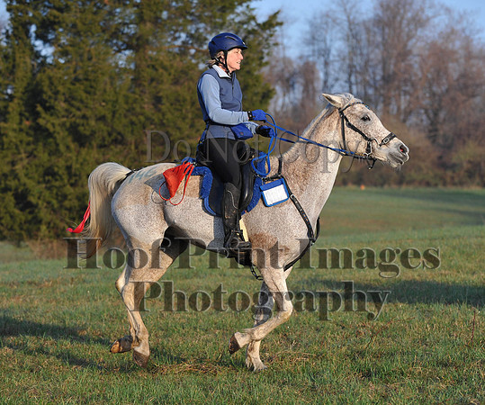 Foxcatcher(4-12-14)0433