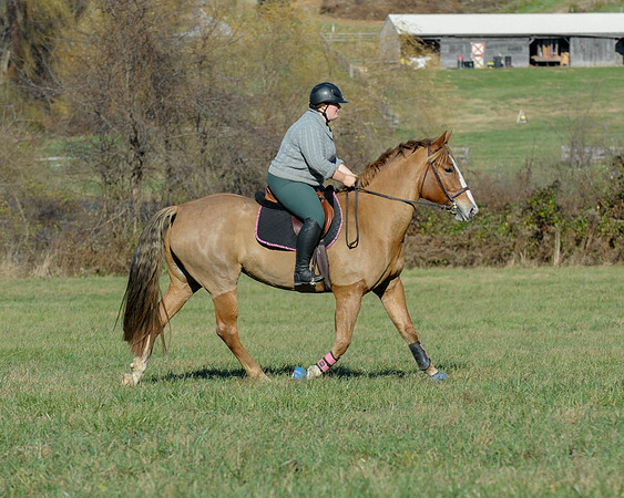 BHPC(11-15-15)0075