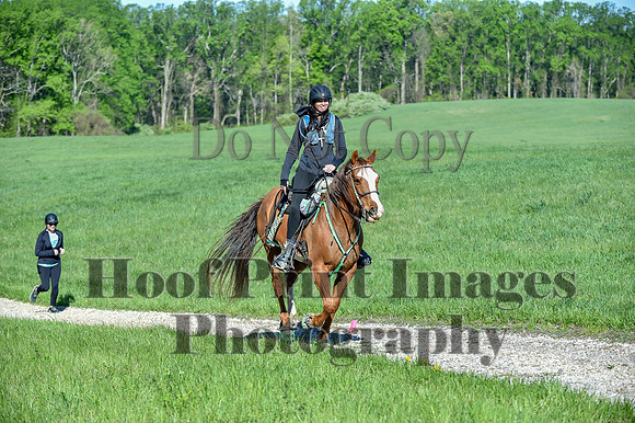 ChesapeakeSpring(4-27-25)0378