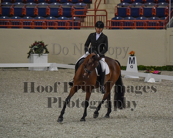 CWdressageII(8-21-16)0151