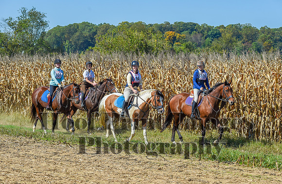 CheshirePonyClubPC(10-6-24)0501