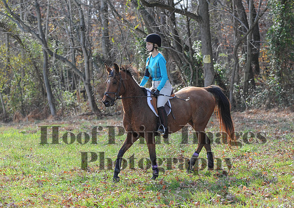 AndrewsBr(11-9-14)0605