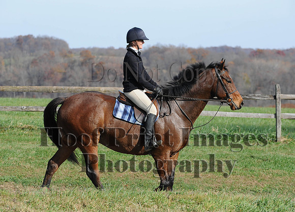 AndrewsBr(11-9-14)0334