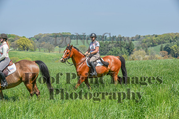 CheshireSpringPC1(4-28-24)0307