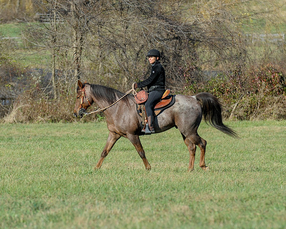 BHPC(11-15-15)0605