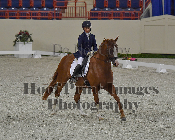 CWdressageII(8-21-16)1191