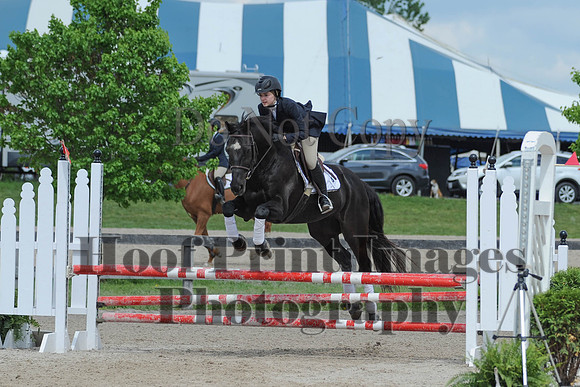 BRSa(5-17-14)0.8mJCl0040