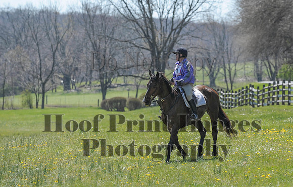 CheshirePC(4-16-16)0571