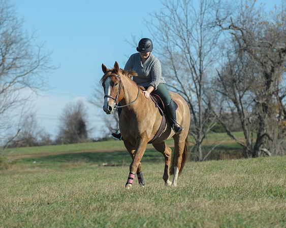 BHPC(11-15-15)0081