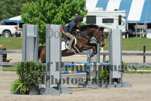 BRSa(5-17-14)0.8mJCl0063