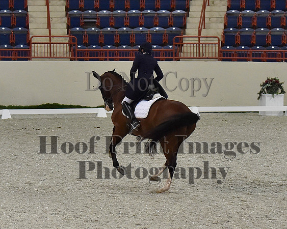 CWdressageII(8-21-16)1757