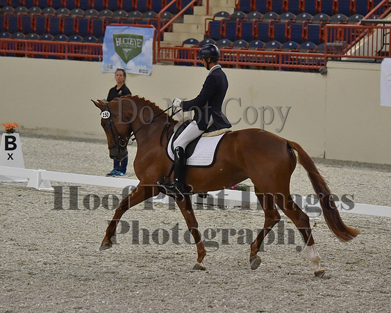 CWdressageII(8-21-16)1344