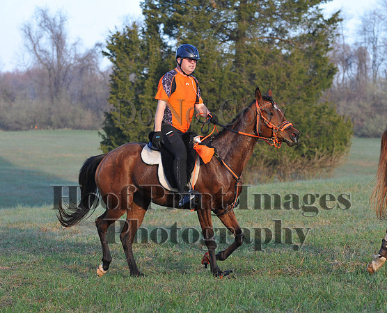 Foxcatcher(4-12-14)0342