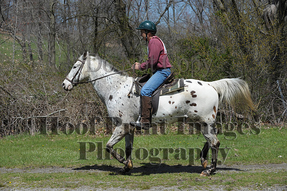 CheshirePC(4-16-16)0354