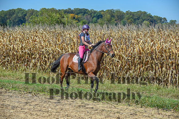 CheshirePonyClubPC(10-6-24)0485