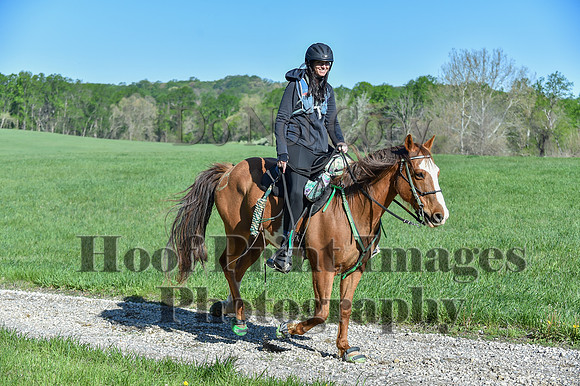 ChesapeakeSpring(4-27-25)0385