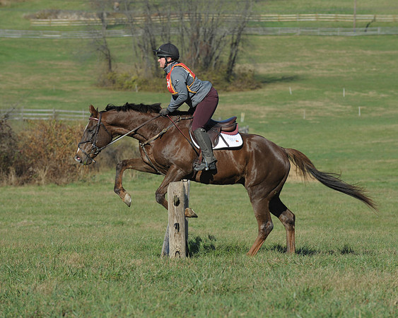 BHPC(11-15-15)0381