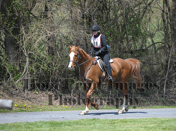 CheshirePC(4-16-16)0380