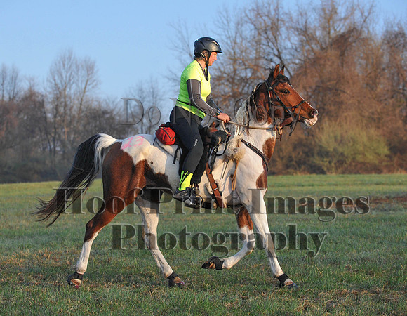 Foxcatcher(4-12-14)0254