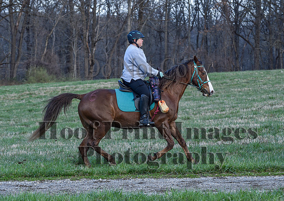 ChesapeakeSpring(4-10-22)0392