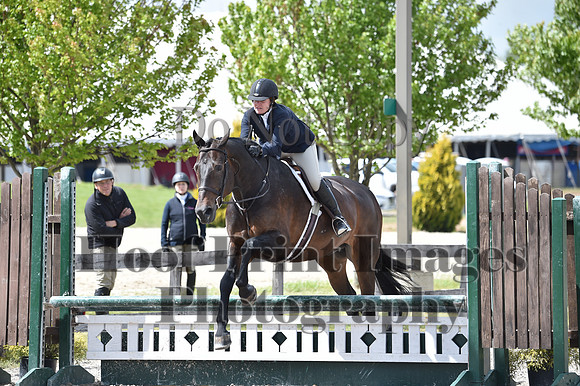 StCSun(5-15-16)PrAd0051