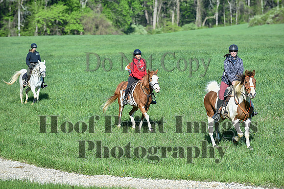 ChesapeakeSpring(4-27-25)0315