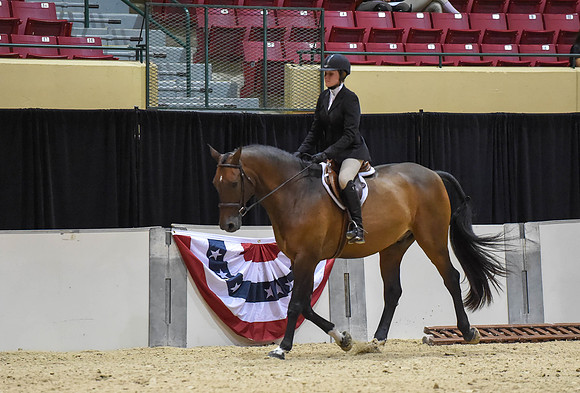 MHSAHtStFinH(9-12-14)0109
