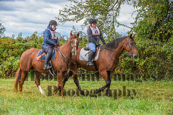 CheshireFallPC(10-8-23)0428