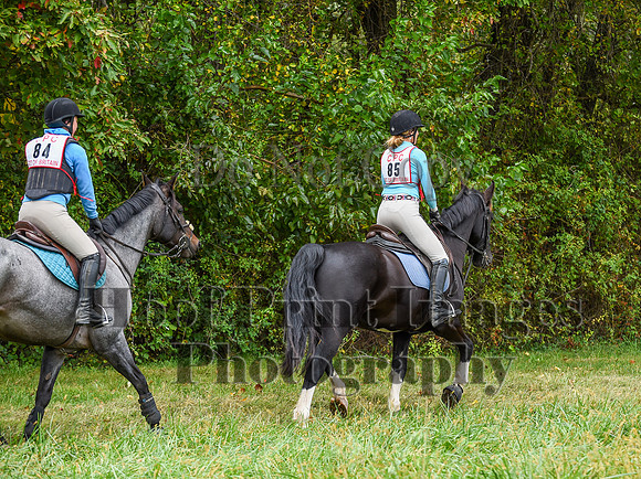 CheshireFallPC(10-8-23)0538