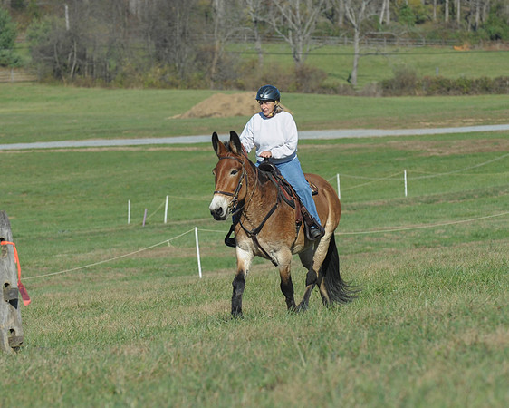 BHPC(11-15-15)0514