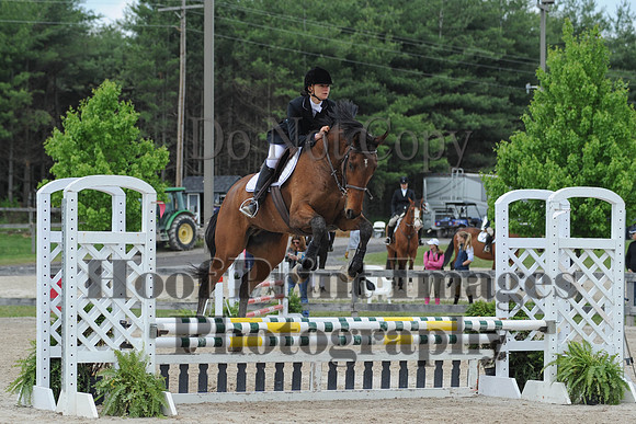 BRSa(5-17-14)0.8mJCl0038