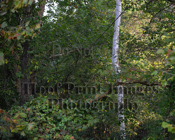 ChesapeakeCTR(9-20-14)0035