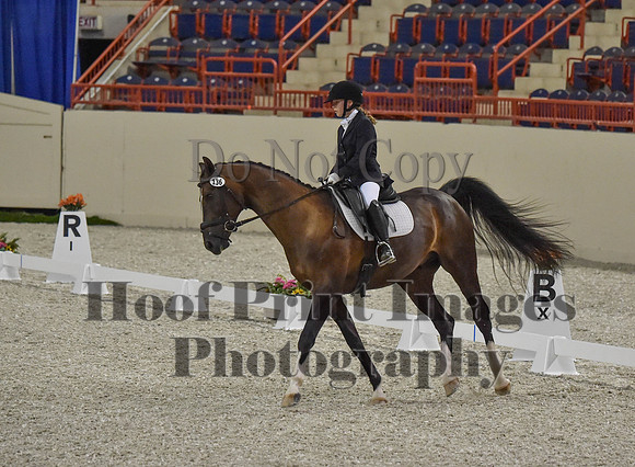 CWdressageI(8-20-16)0204