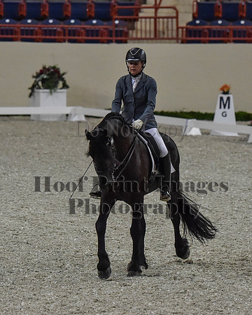 CWdressageII(8-21-16)0196