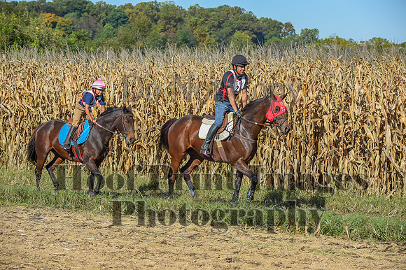 CheshirePonyClubPC(10-6-24)0049