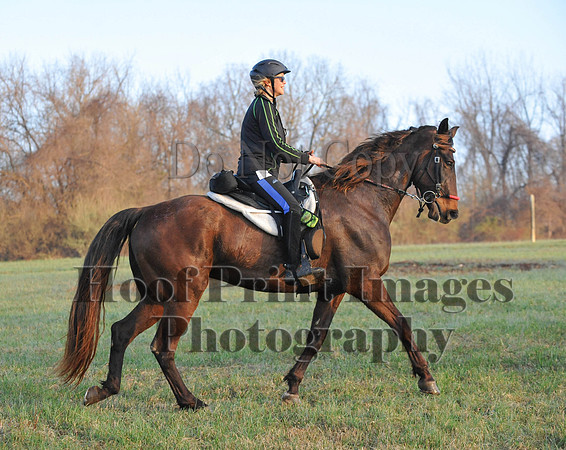Foxcatcher(4-12-14)0204