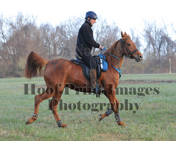 Foxcatcher(4-12-14)0171