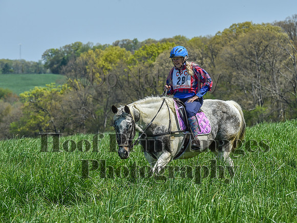 CheshireSpringPC1(4-28-24)0228