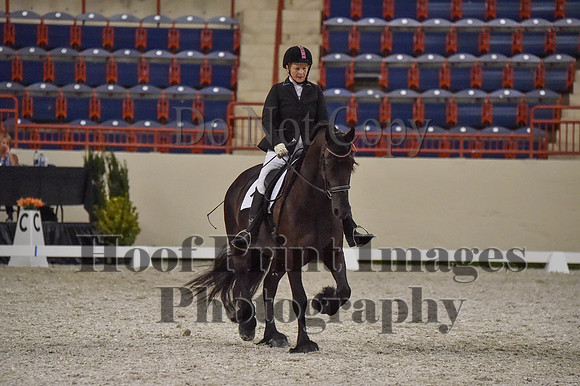 CWdressageI(8-20-16)1384